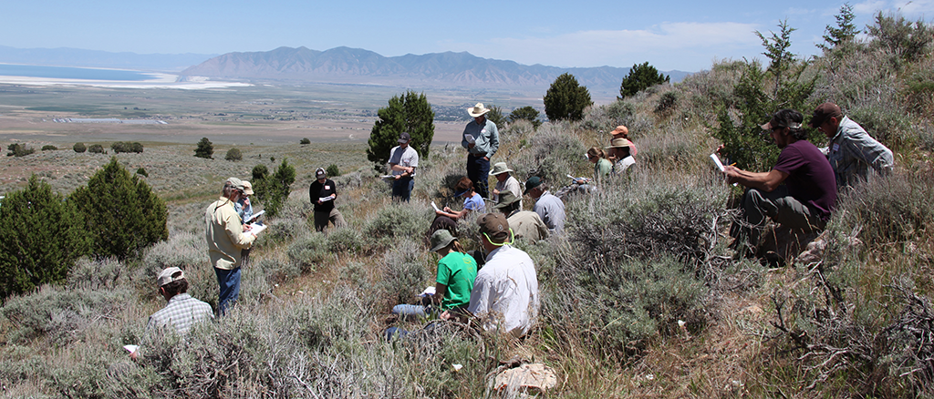 Fuel and site characteristics field workshop near Toolele, UT, June 2014. Photo courtesy of Marjie Brown.